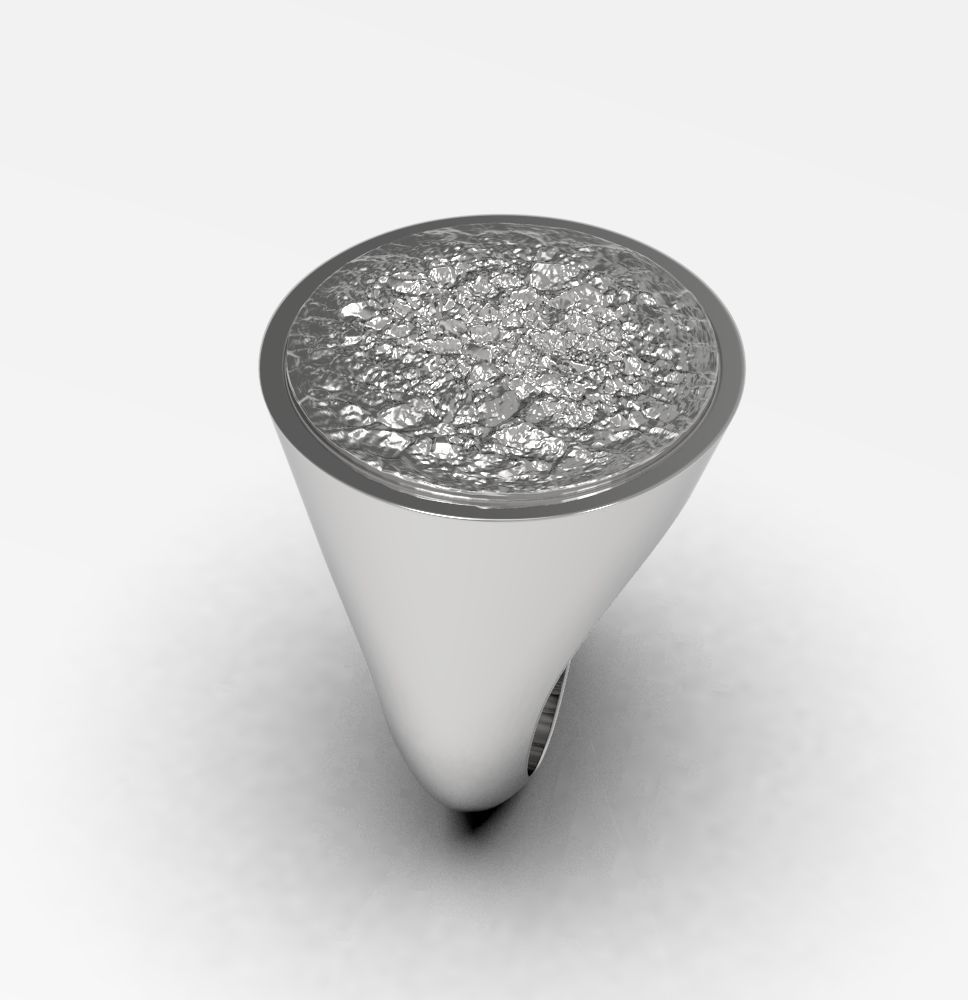 Ring 010 3D print model_6