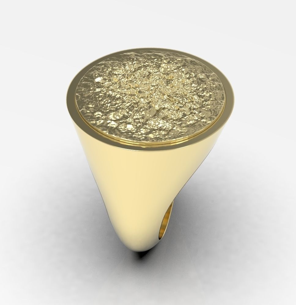 Ring 010 3D print model_20