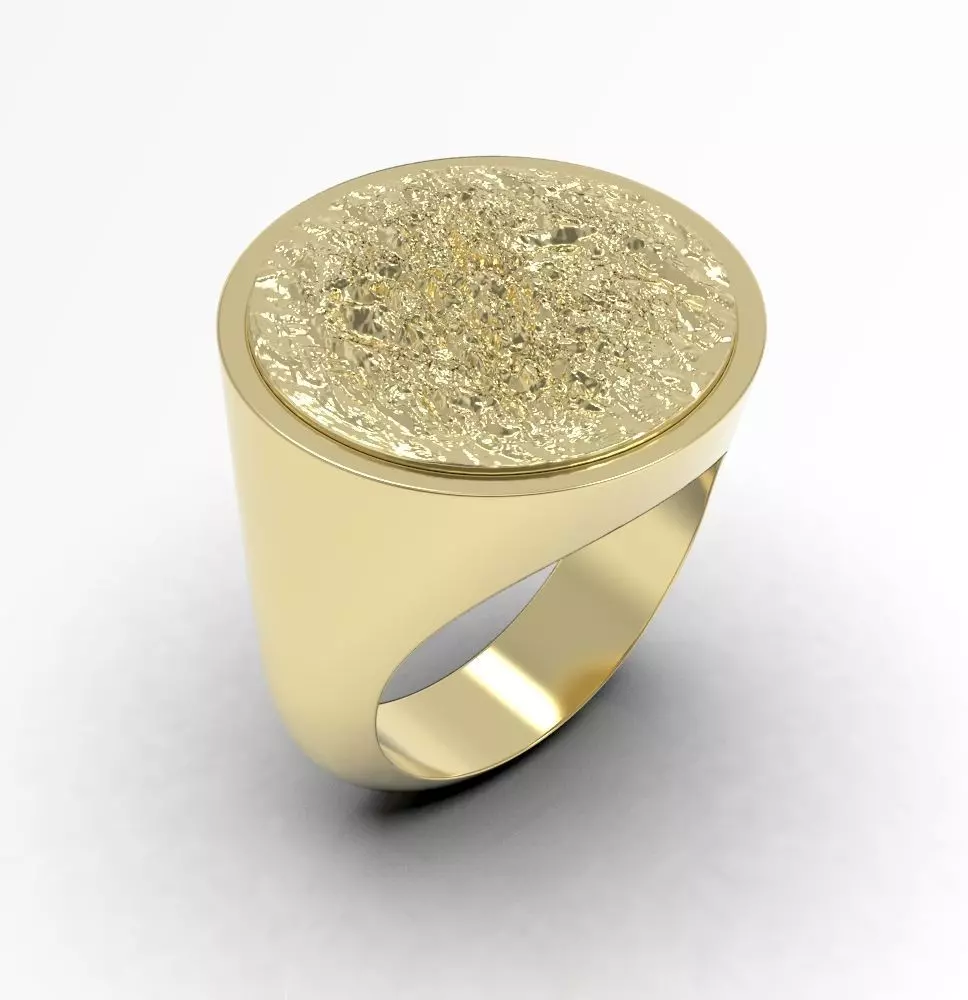 Ring 010 3D print model_0