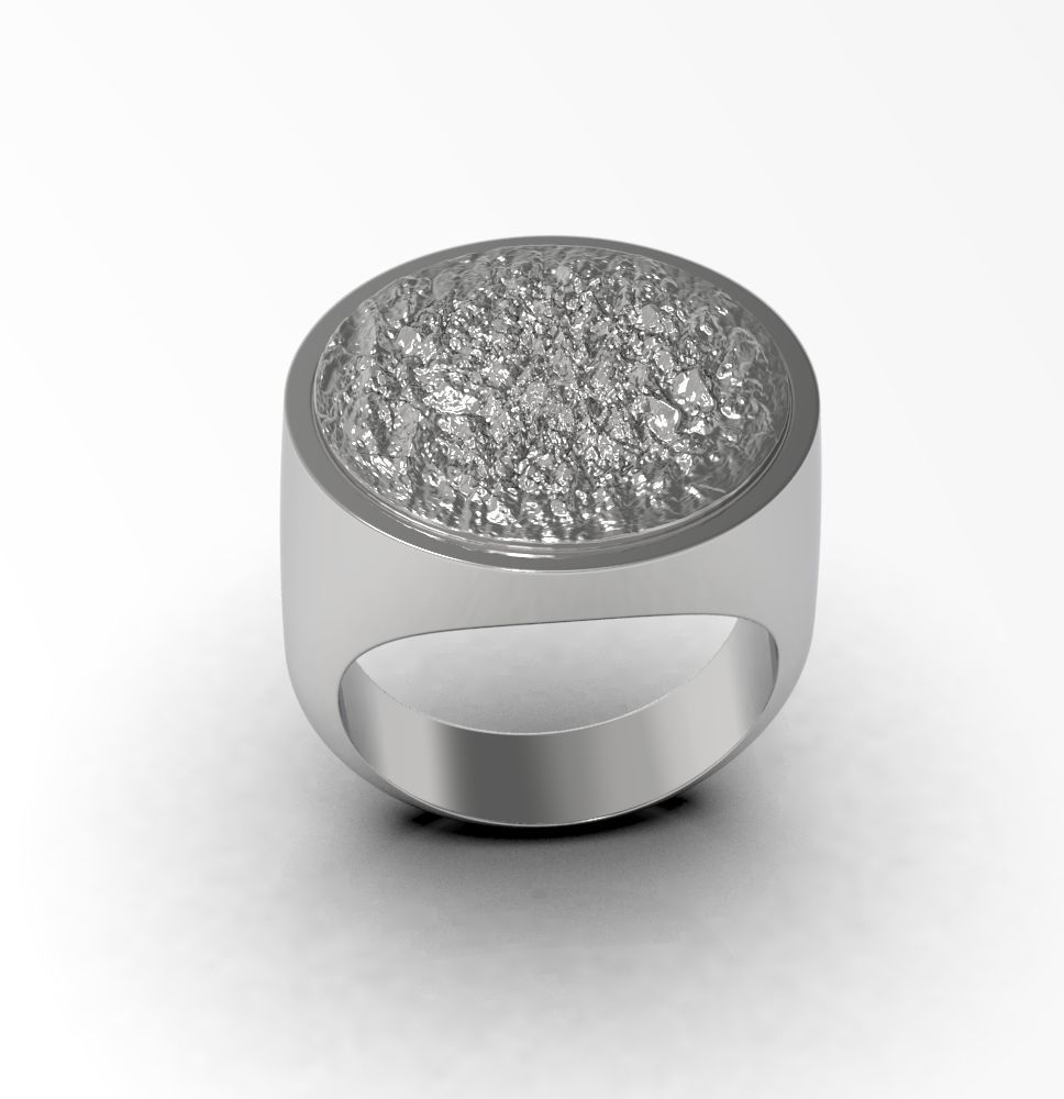 Ring 010 3D print model_8