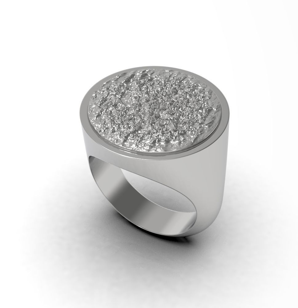 Ring 010 3D print model_9