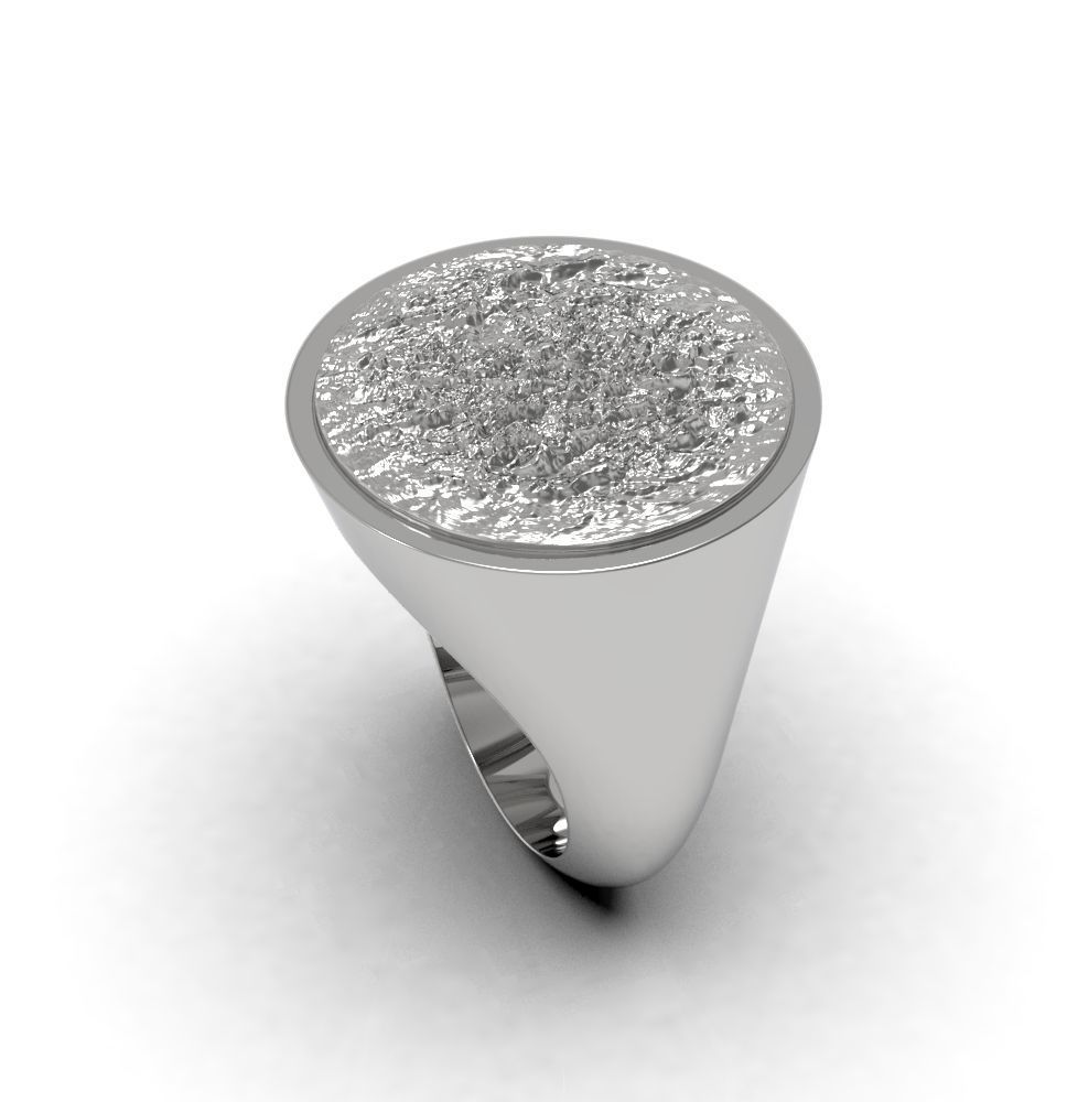 Ring 010 3D print model_10