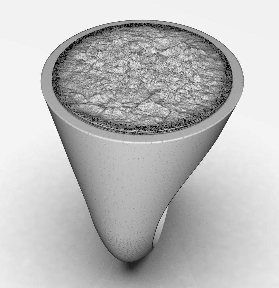 Ring 010 3D print model_13