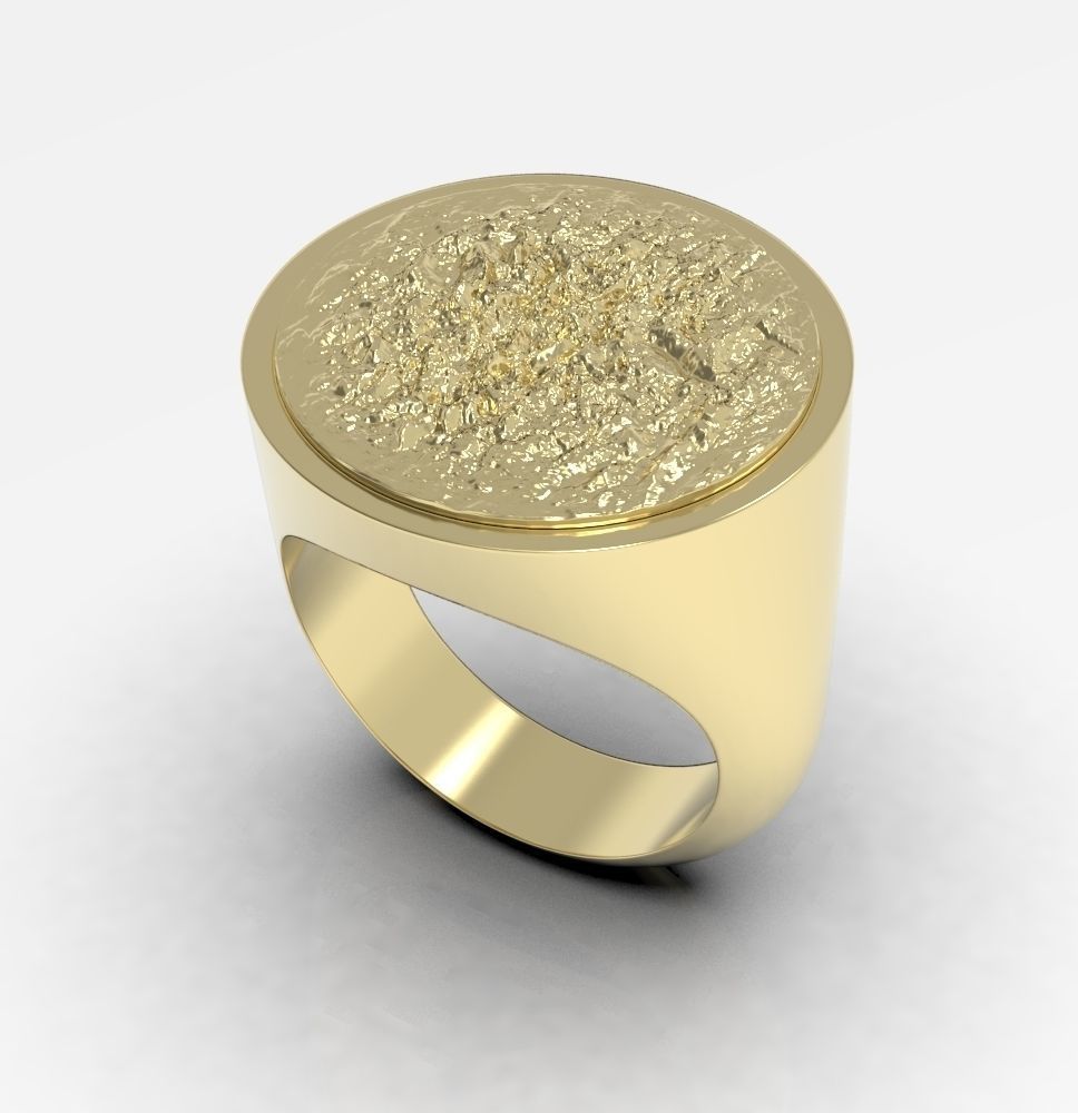 Ring 010 3D print model_18
