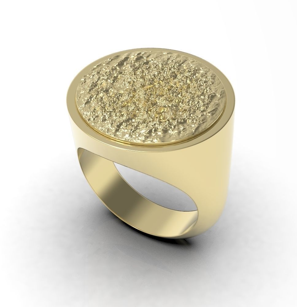 Ring 010 3D print model_23