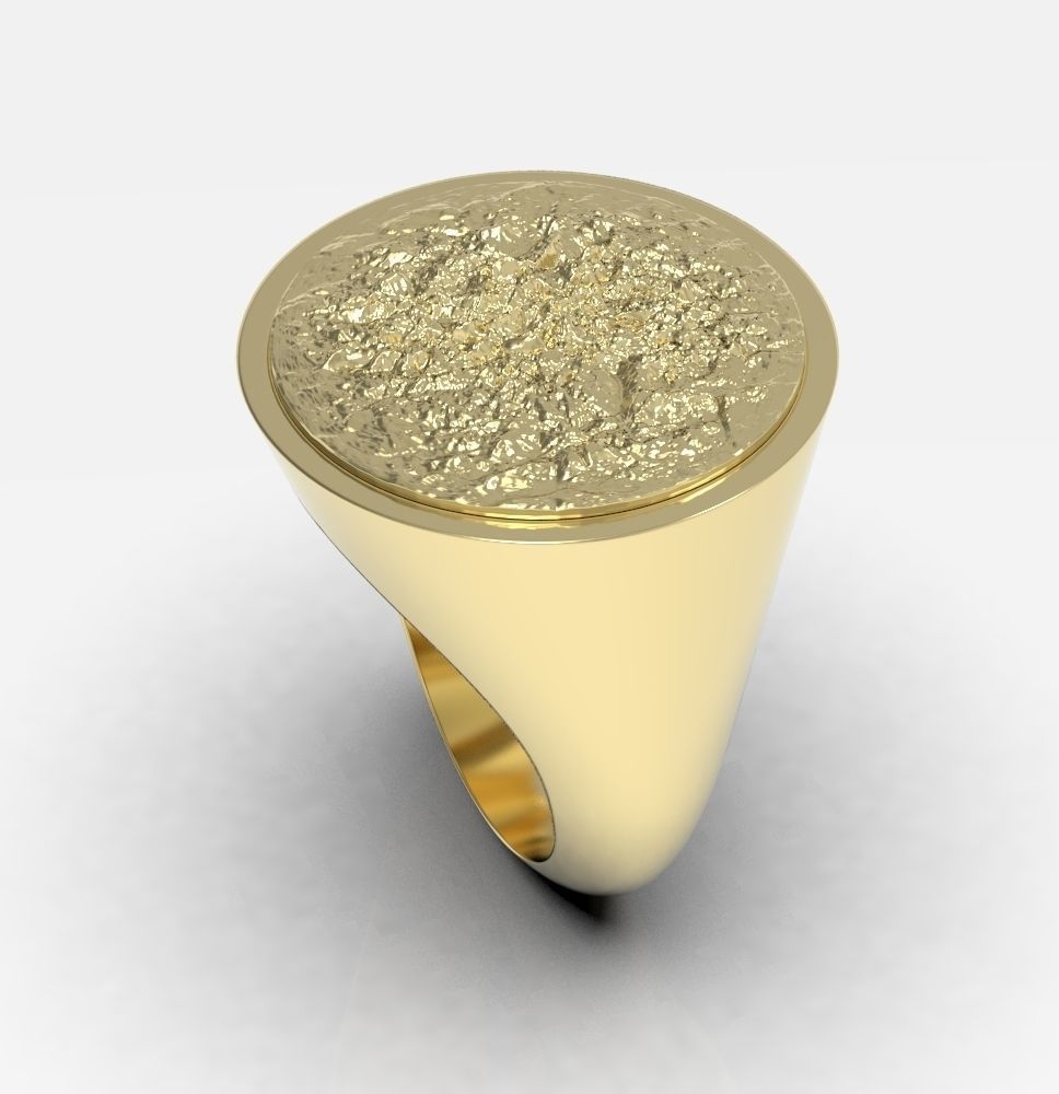 Ring 010 3D print model_19