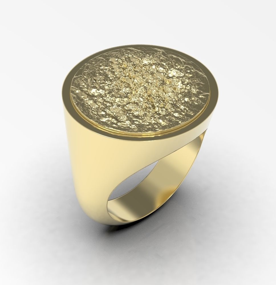 Ring 010 3D print model_21