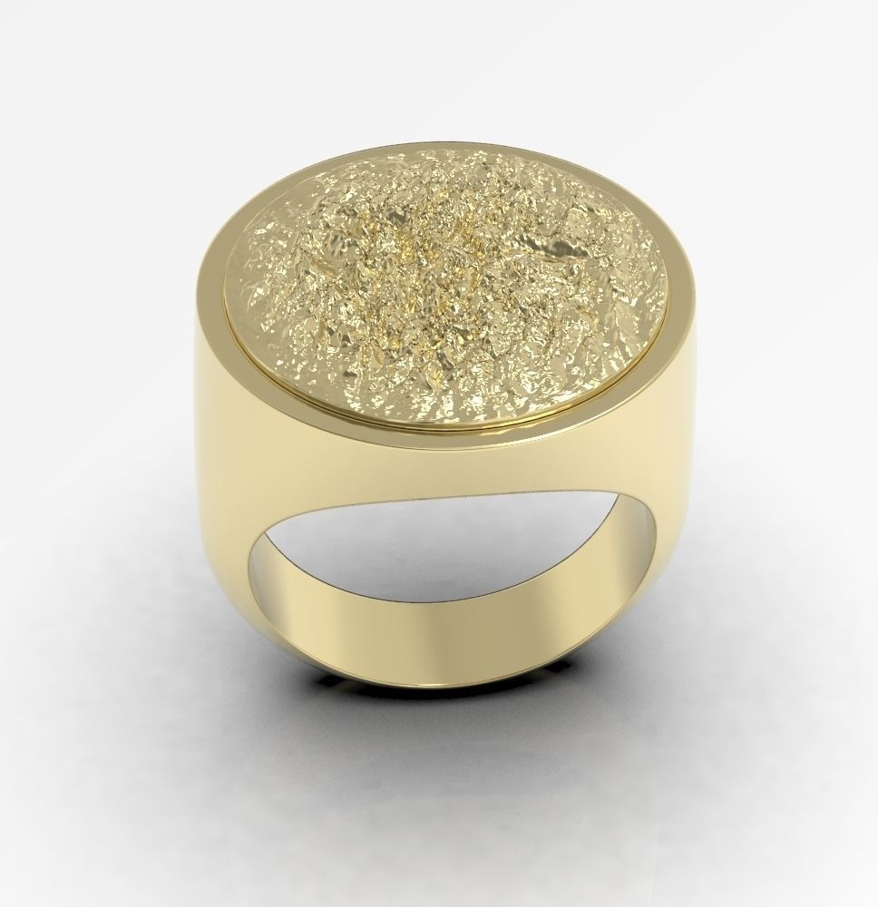 Ring 010 3D print model_17