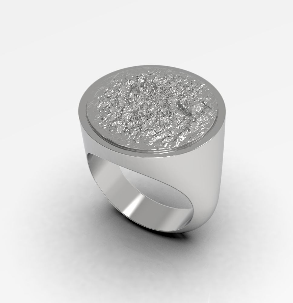 Ring 010 3D print model_4