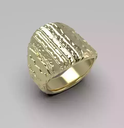Ring 008