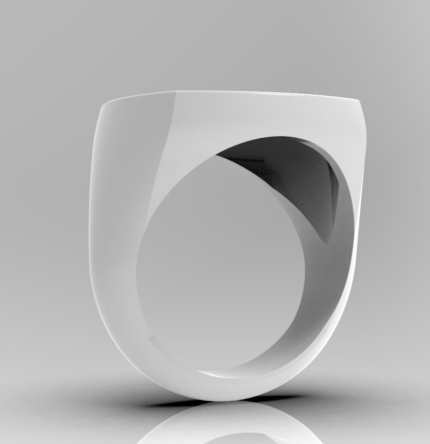 Ring 007 3D print model_24