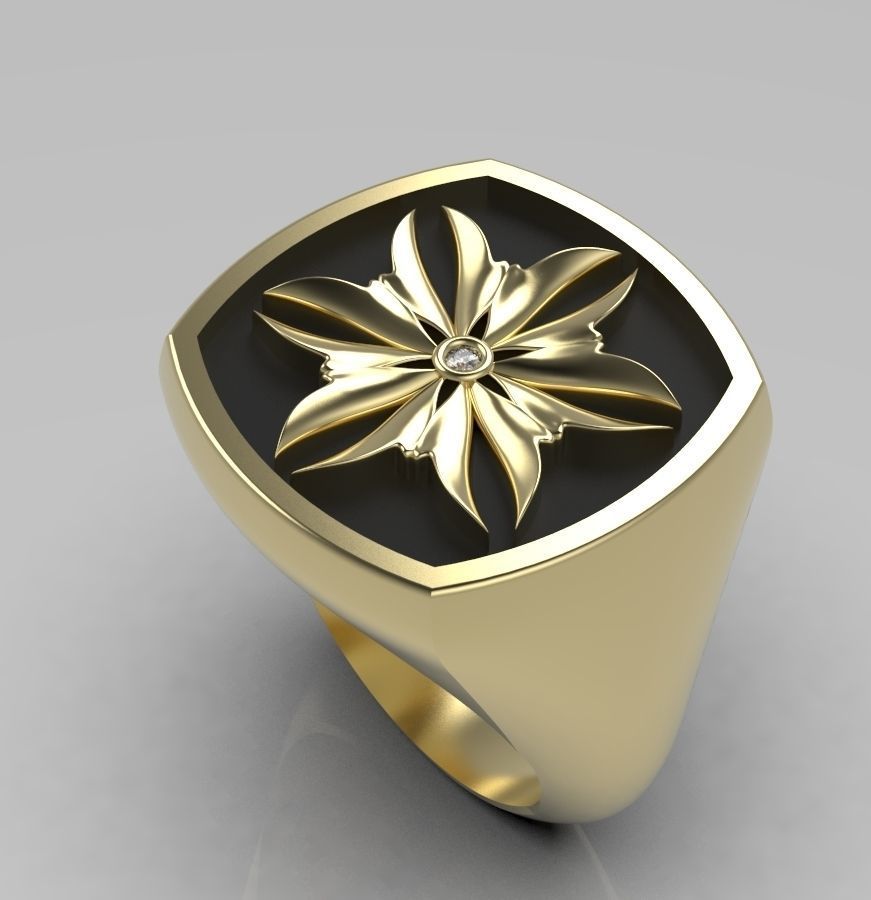 Ring 007 3D print model_6