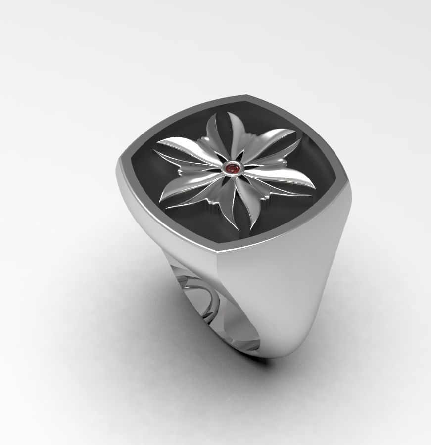Ring 007 3D print model_13