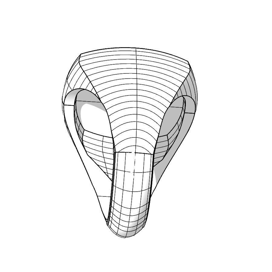 Ring 007 3D print model_30