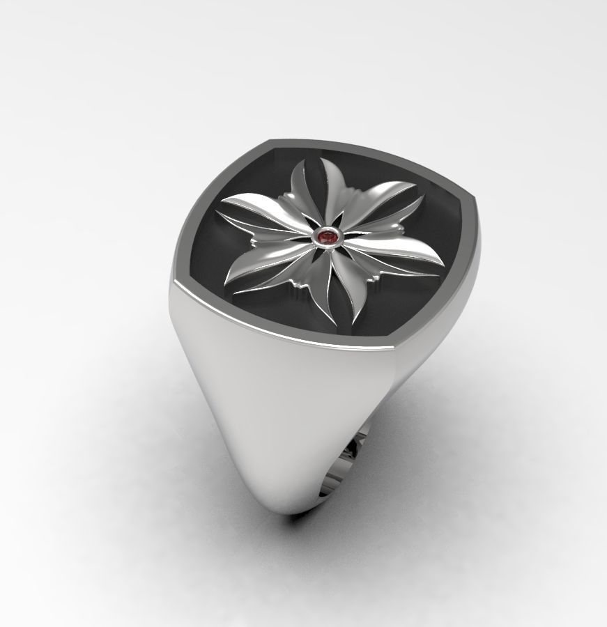 Ring 007 3D print model_15