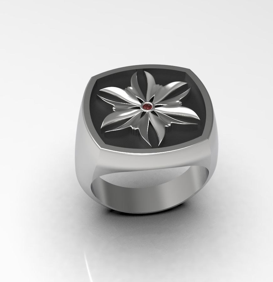Ring 007 3D print model_22