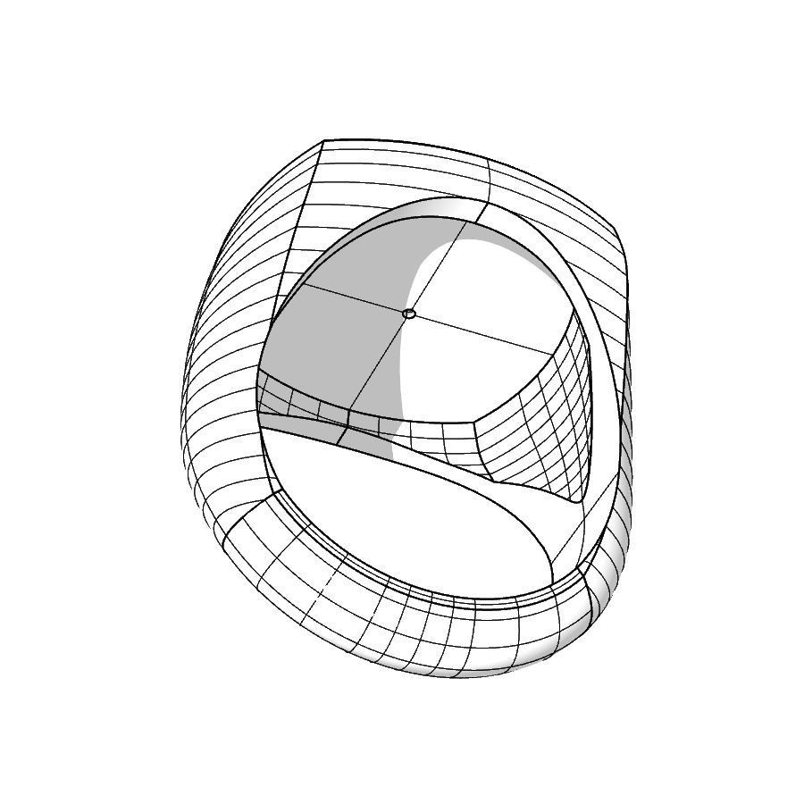 Ring 007 3D print model_31