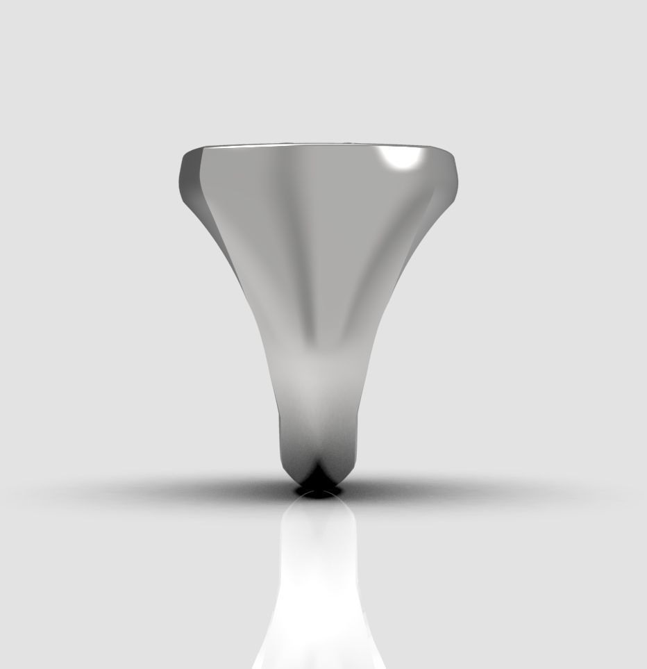 Ring 007 3D print model_33