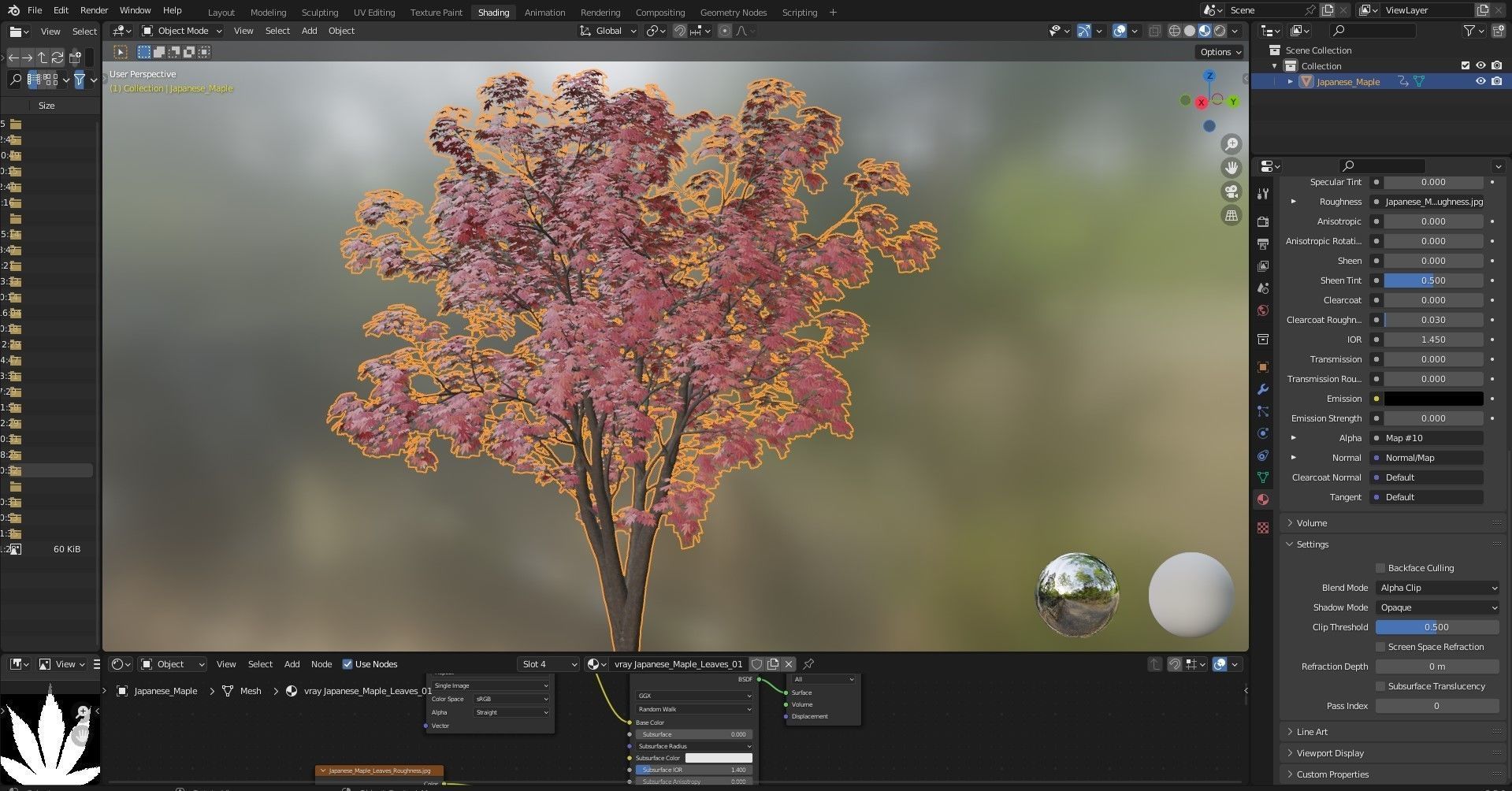 Japanese Maple 3D model_8