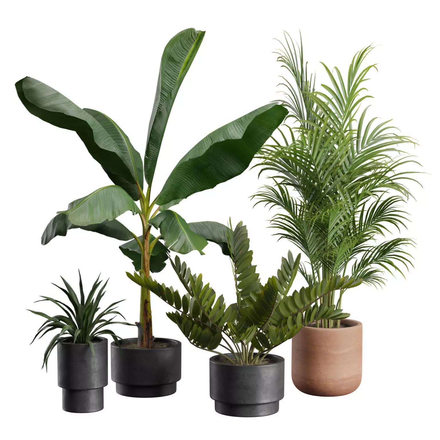 Indoor Plants Pack 43 3D model_0