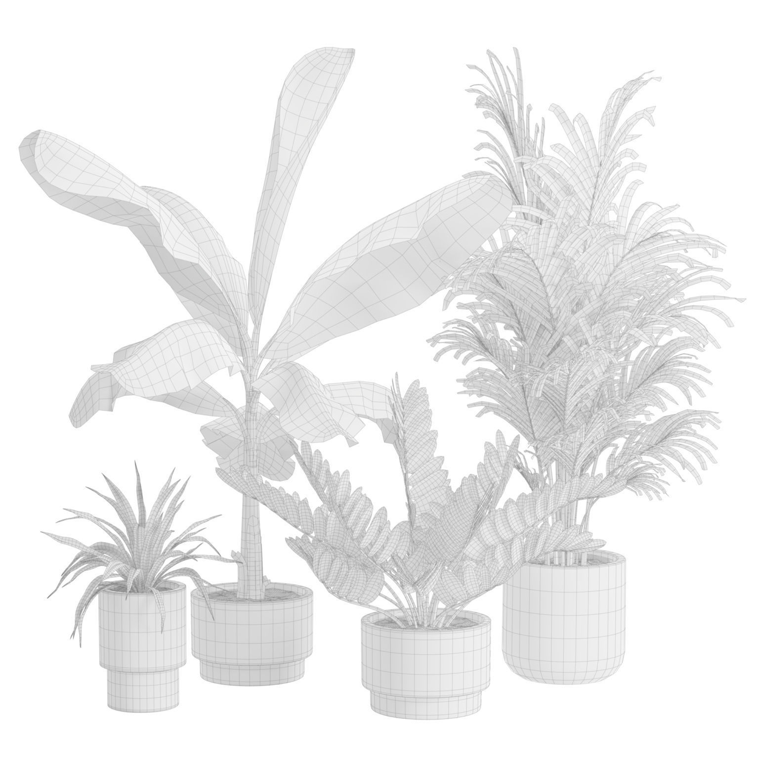 Indoor Plants Pack 43 3D model_1