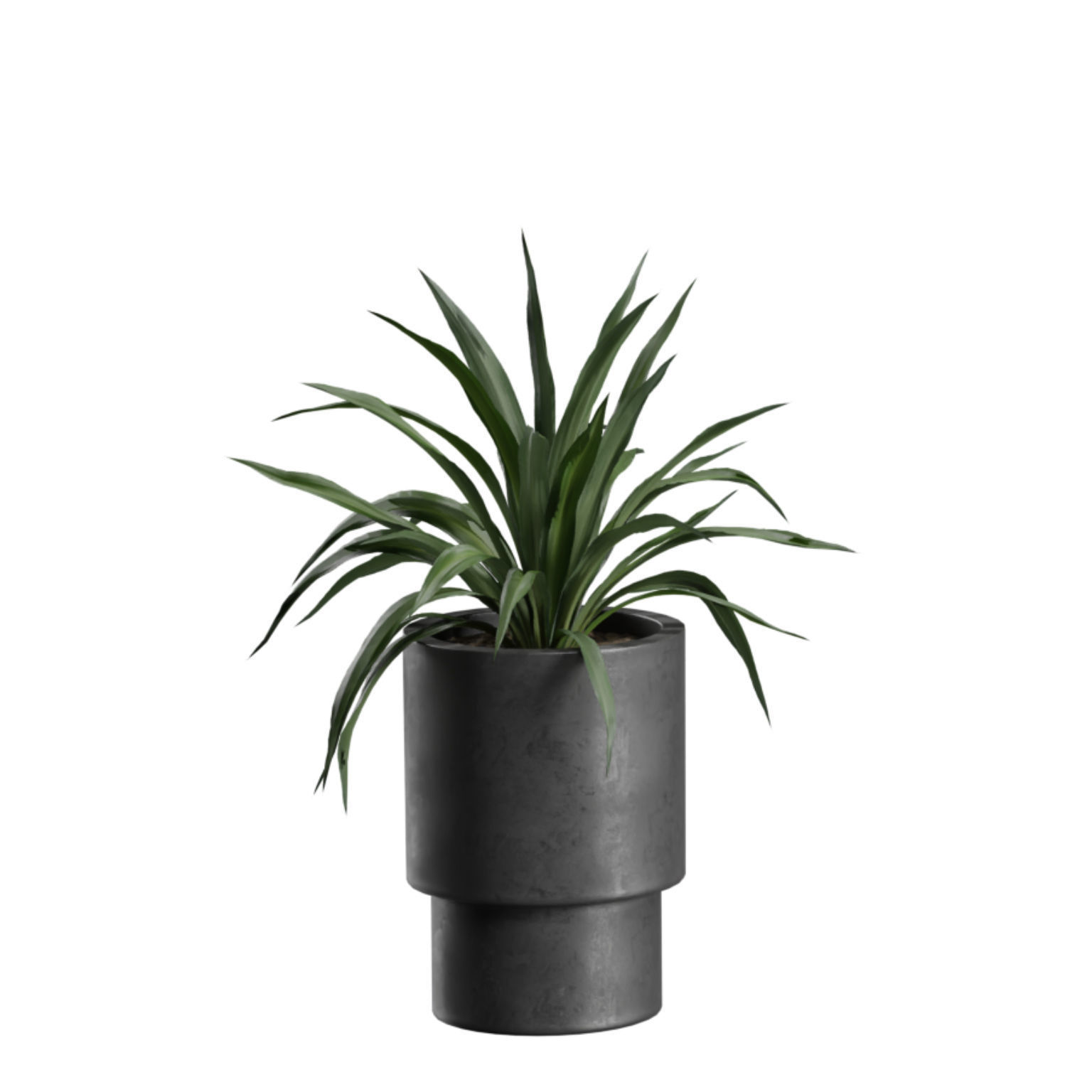 Indoor Plants Pack 43 3D model_6