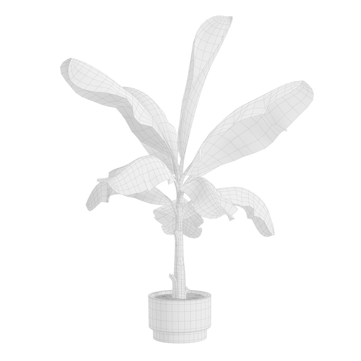 Indoor Plants Pack 43 3D model_9