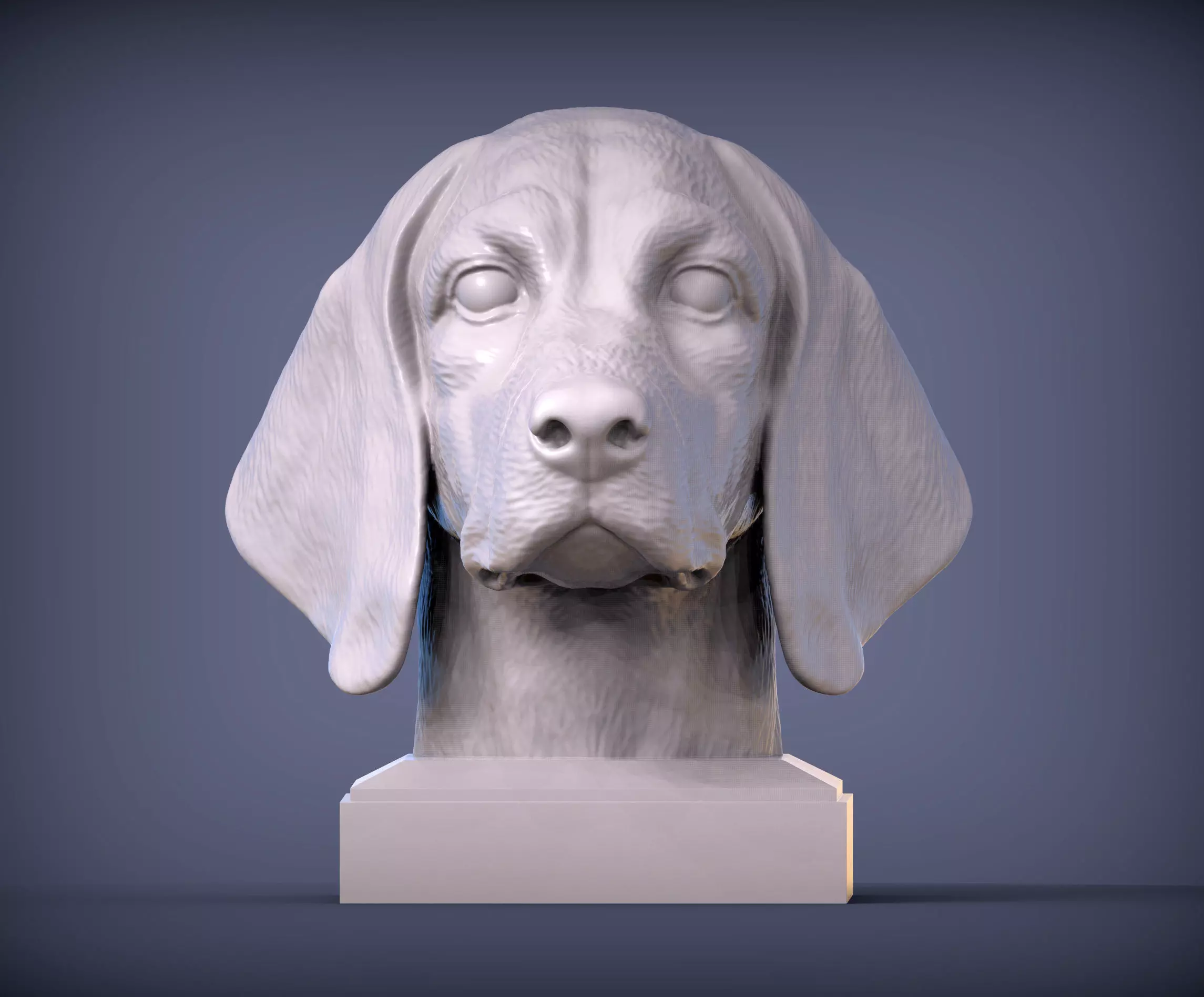 Beagle bust of 3D print model