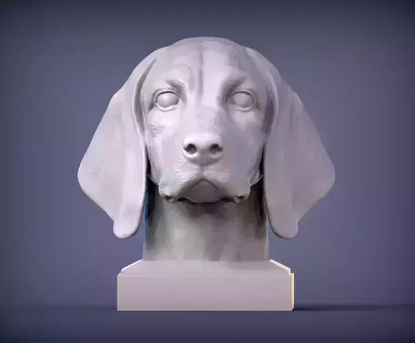 Beagle bust of