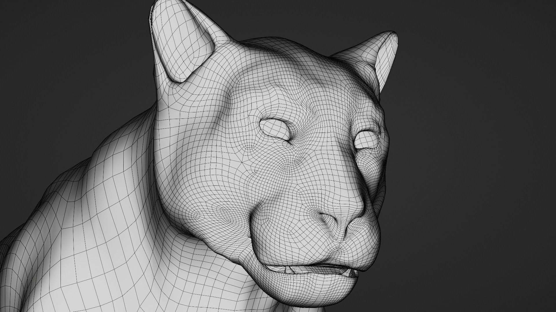 Puma - Cougar with fur 3D model_7