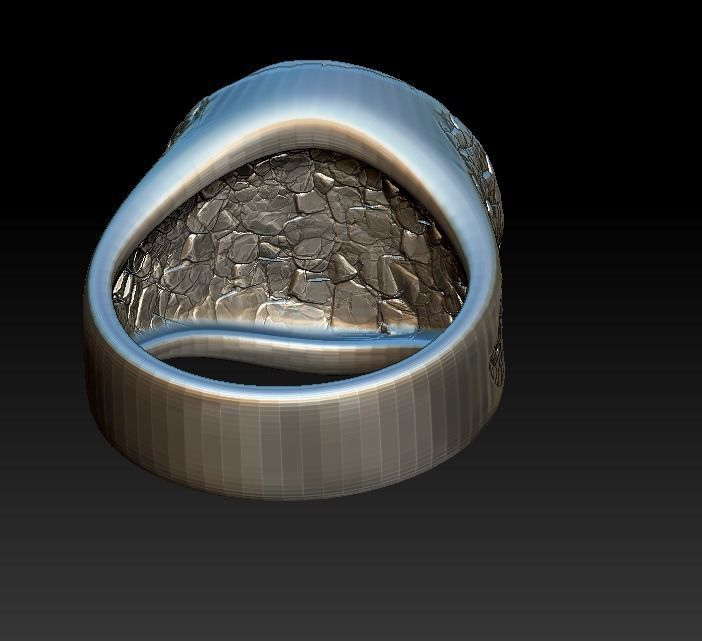 Ring Stark Targaryen wolf dragon GOT 3D print model_11