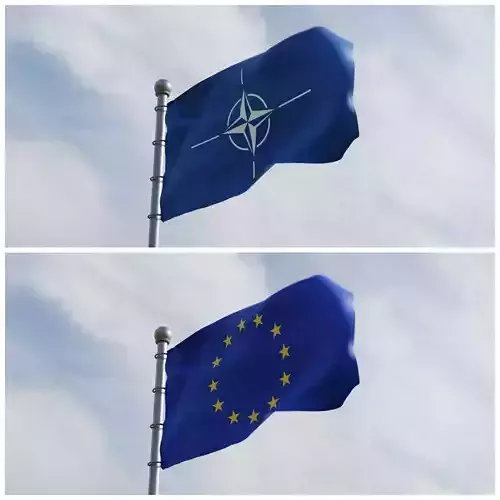 Animated Europe and NATO Flags 3D model
