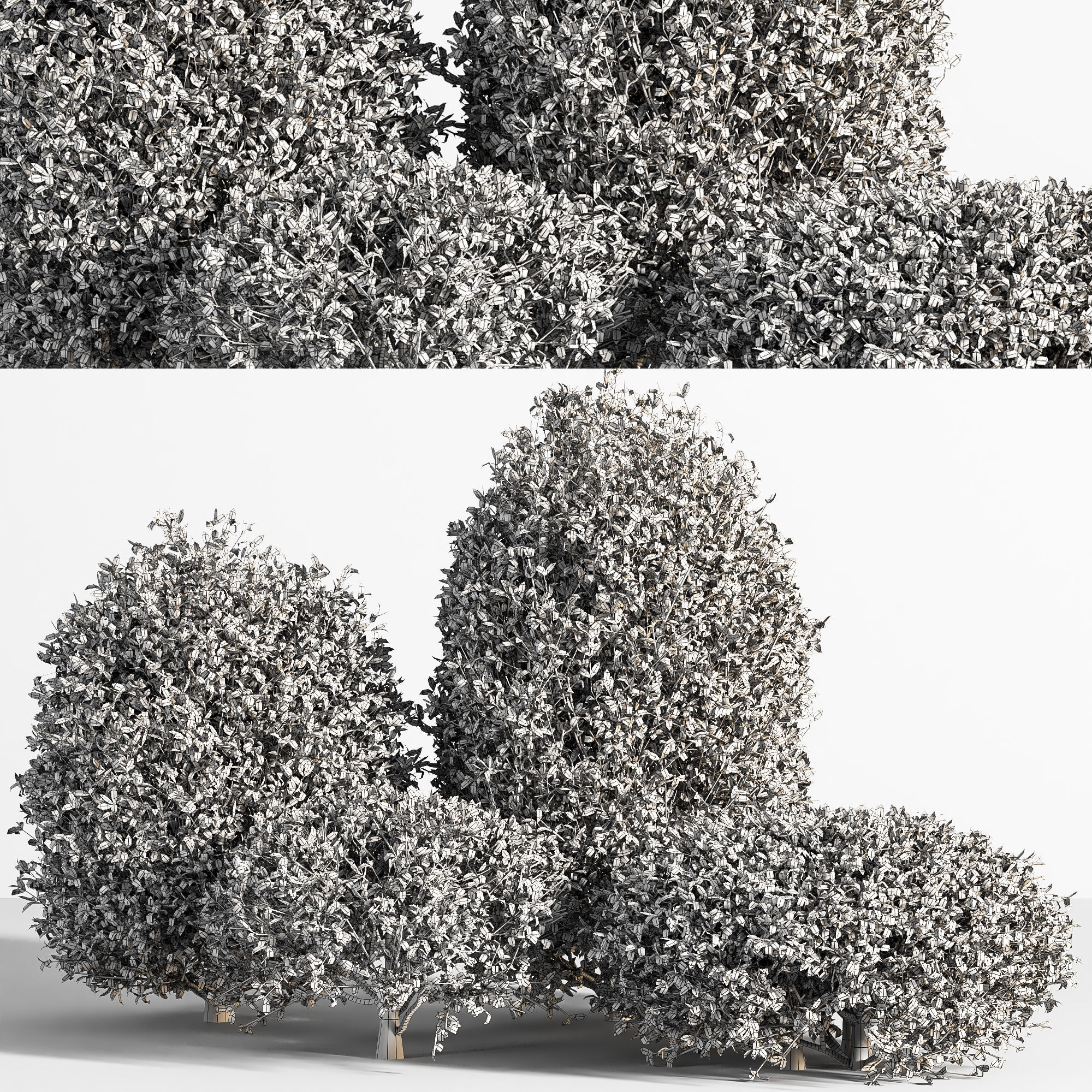 push05 shrubs - shrubs 3D model_1