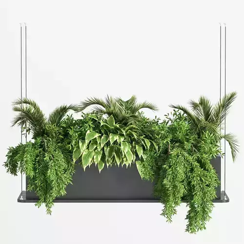 Indoor Plant Set 32 Hanging Plants 