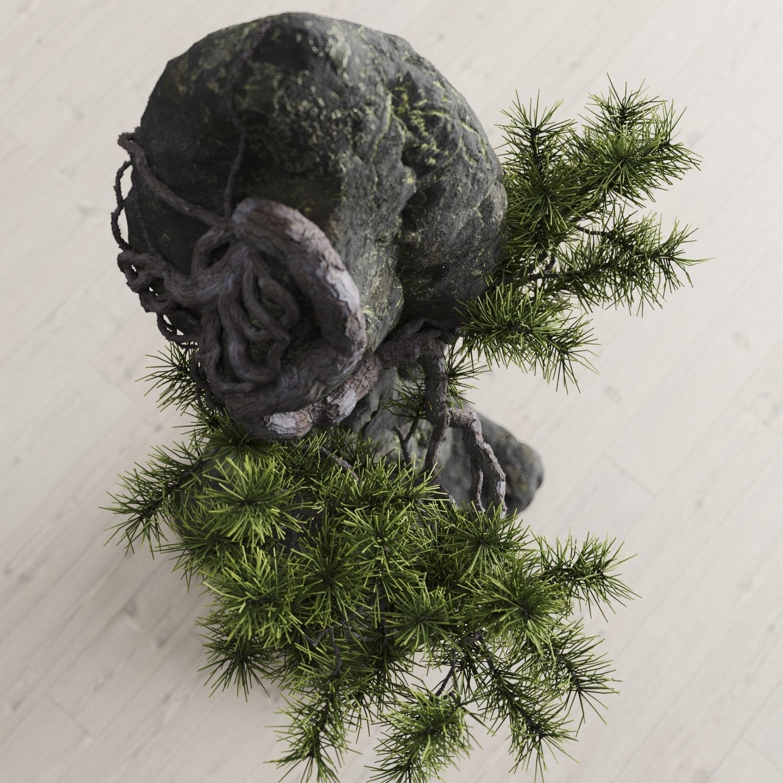 Interior composition Bonsai and Stone 3D model_6