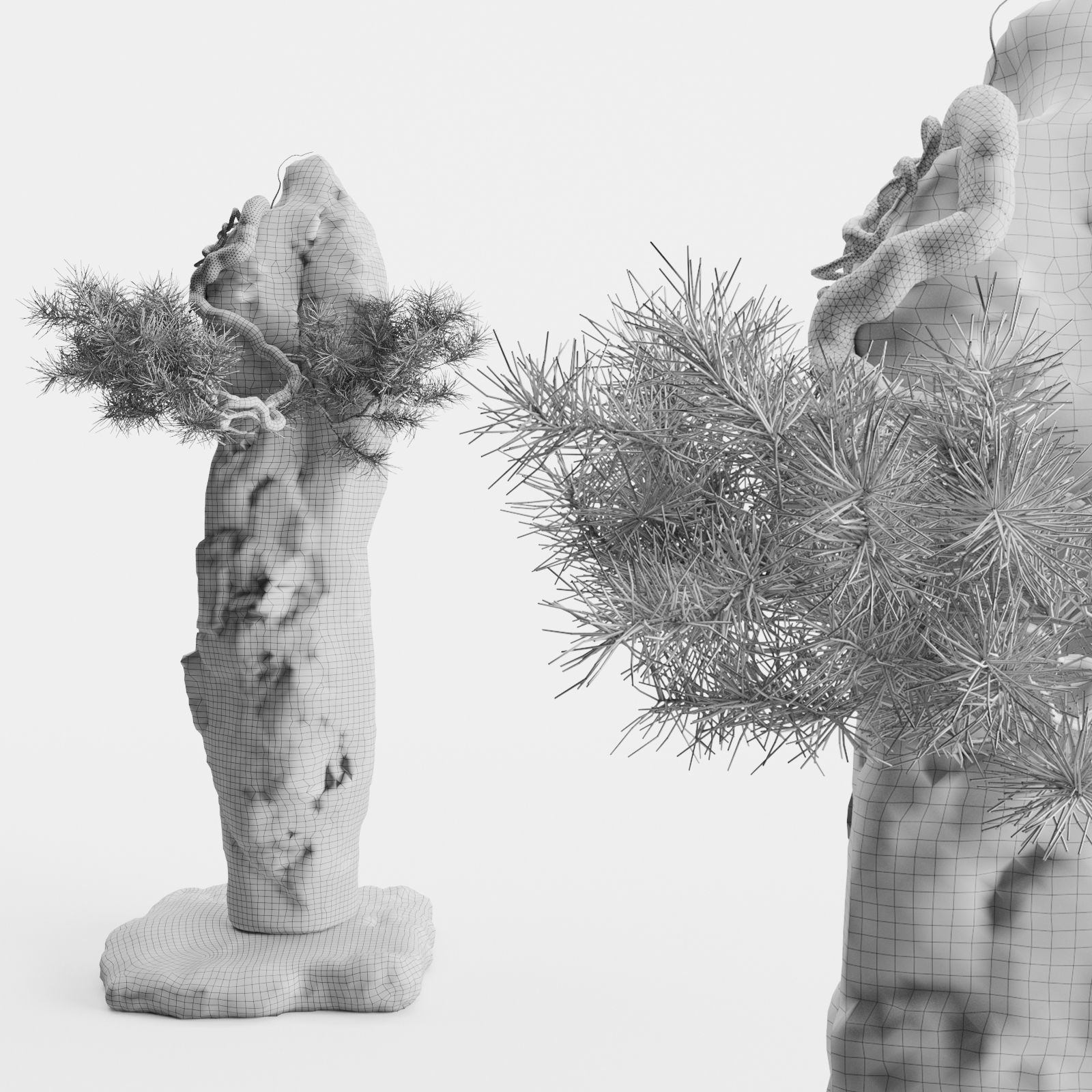 Interior composition Bonsai and Stone 3D model_1