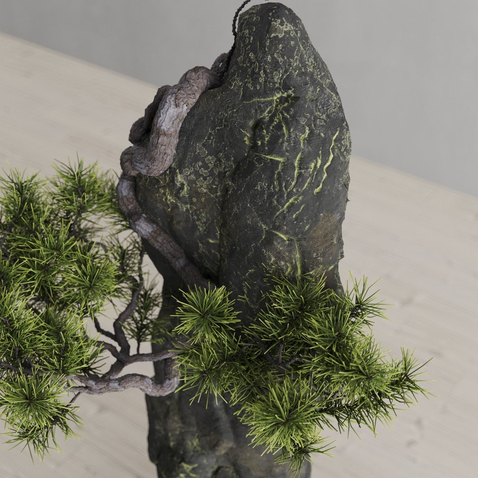 Interior composition Bonsai and Stone 3D model_5