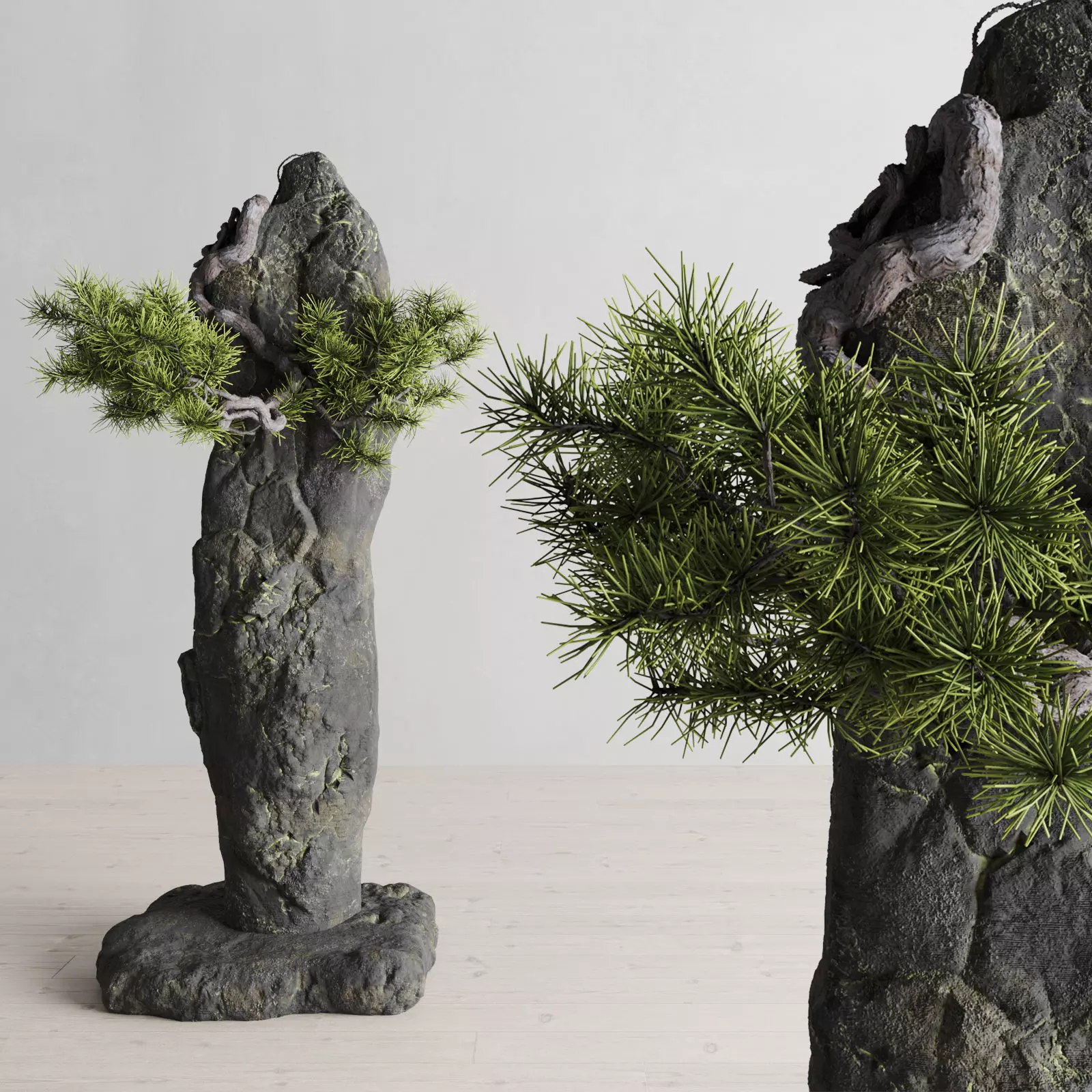 Interior composition Bonsai and Stone 3D model_0