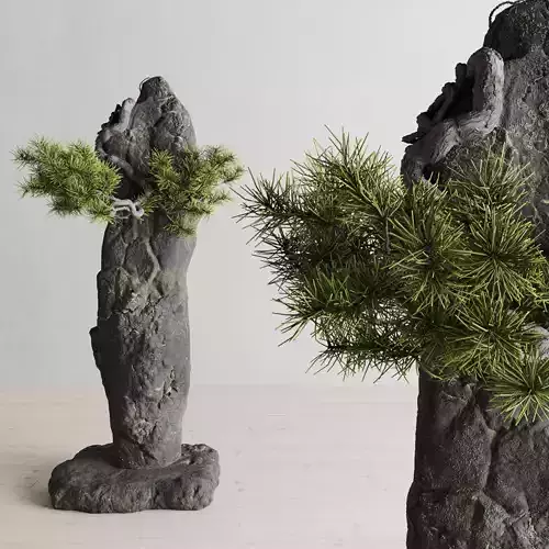 Interior composition Bonsai and Stone