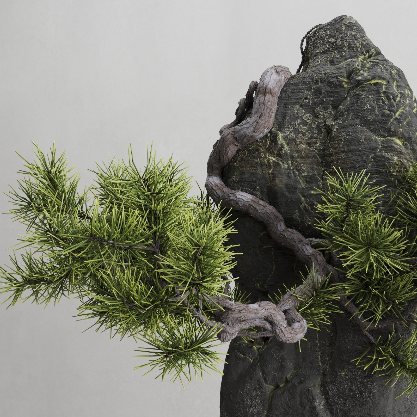 Interior composition Bonsai and Stone 3D model_2