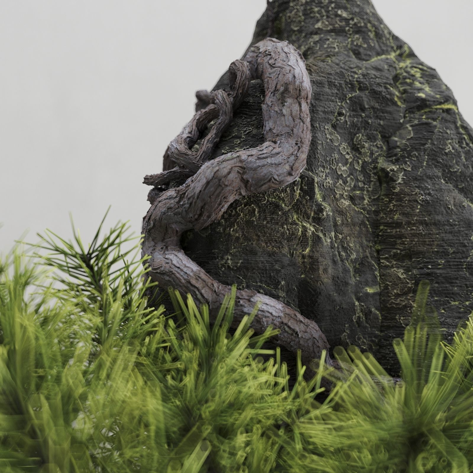 Interior composition Bonsai and Stone 3D model_3