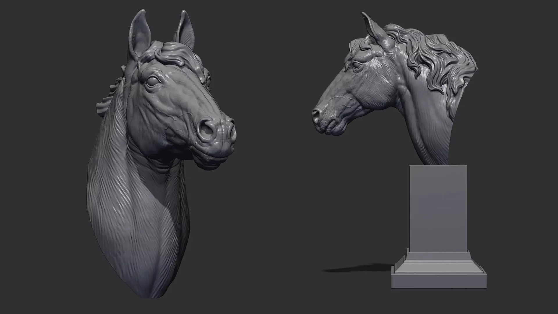Horse with a mane 3D print model_0