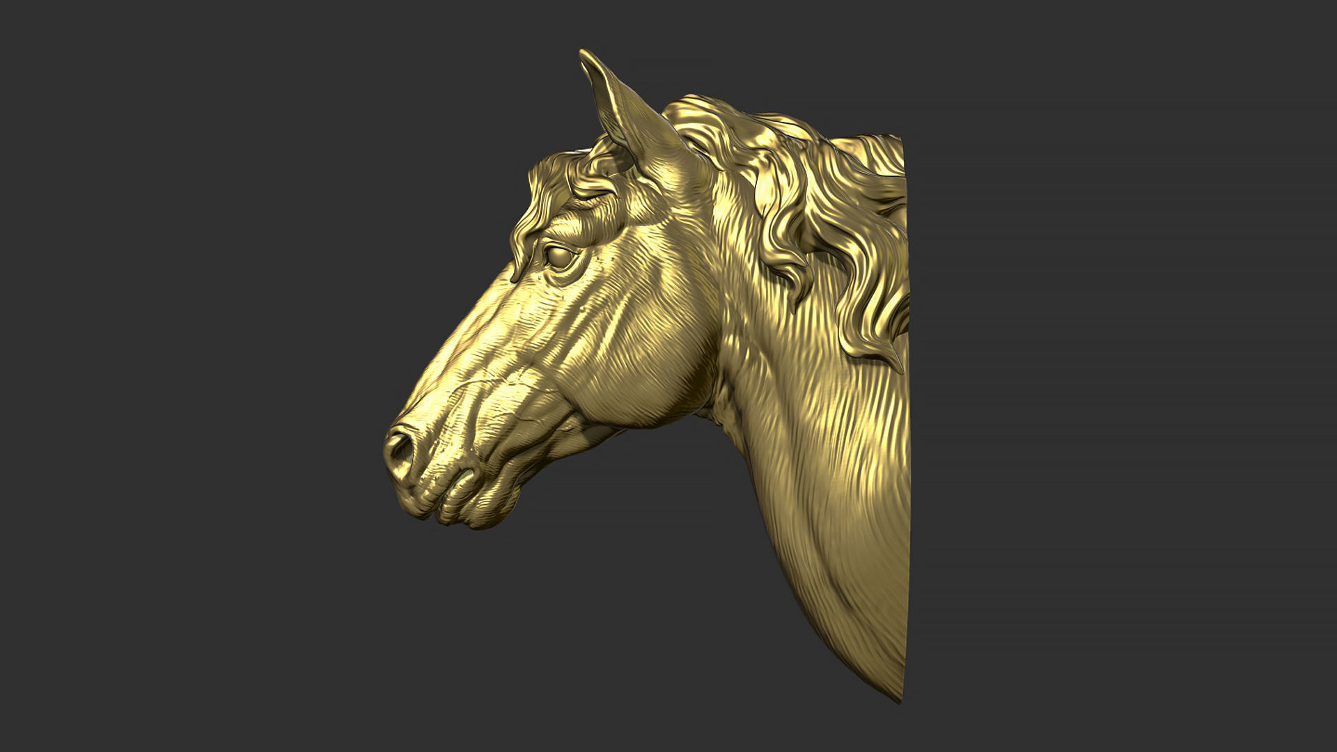 Horse with a mane 3D print model_9