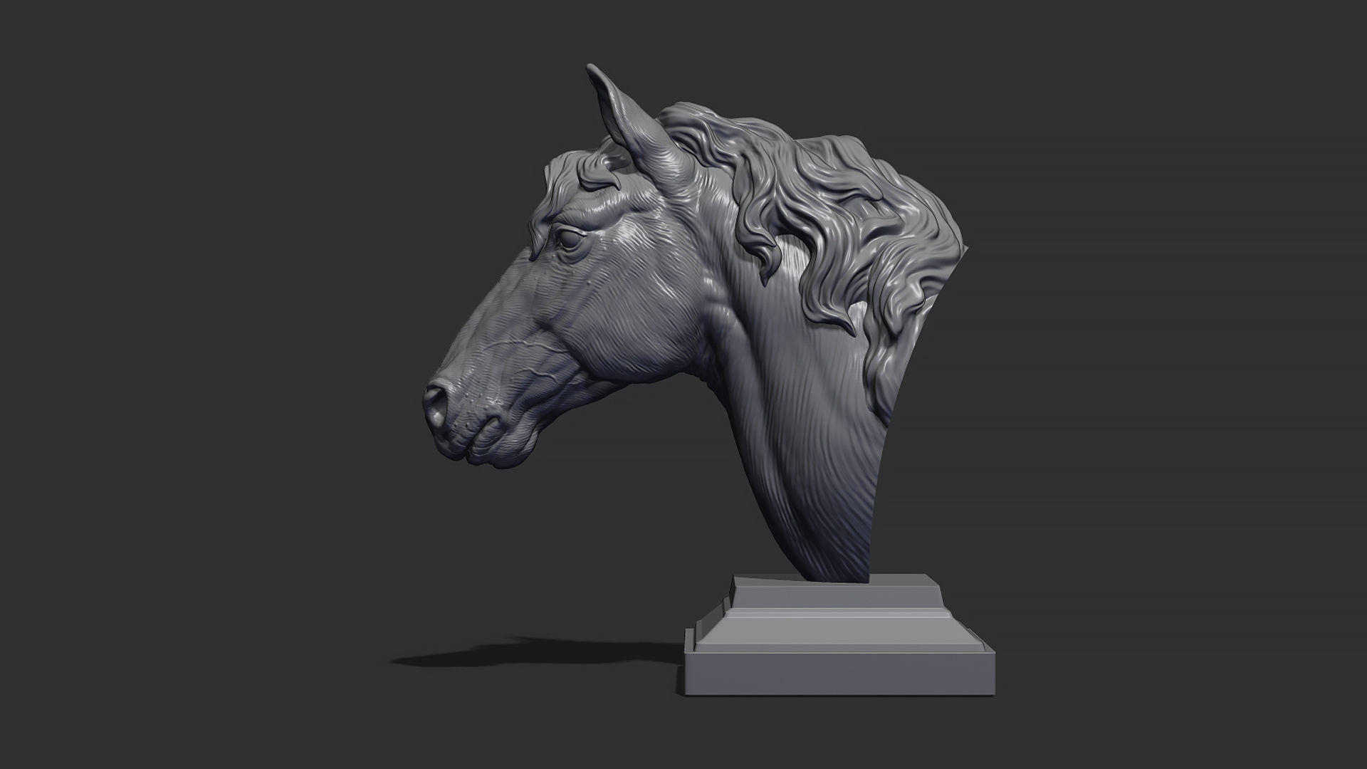 Horse with a mane 3D print model_19