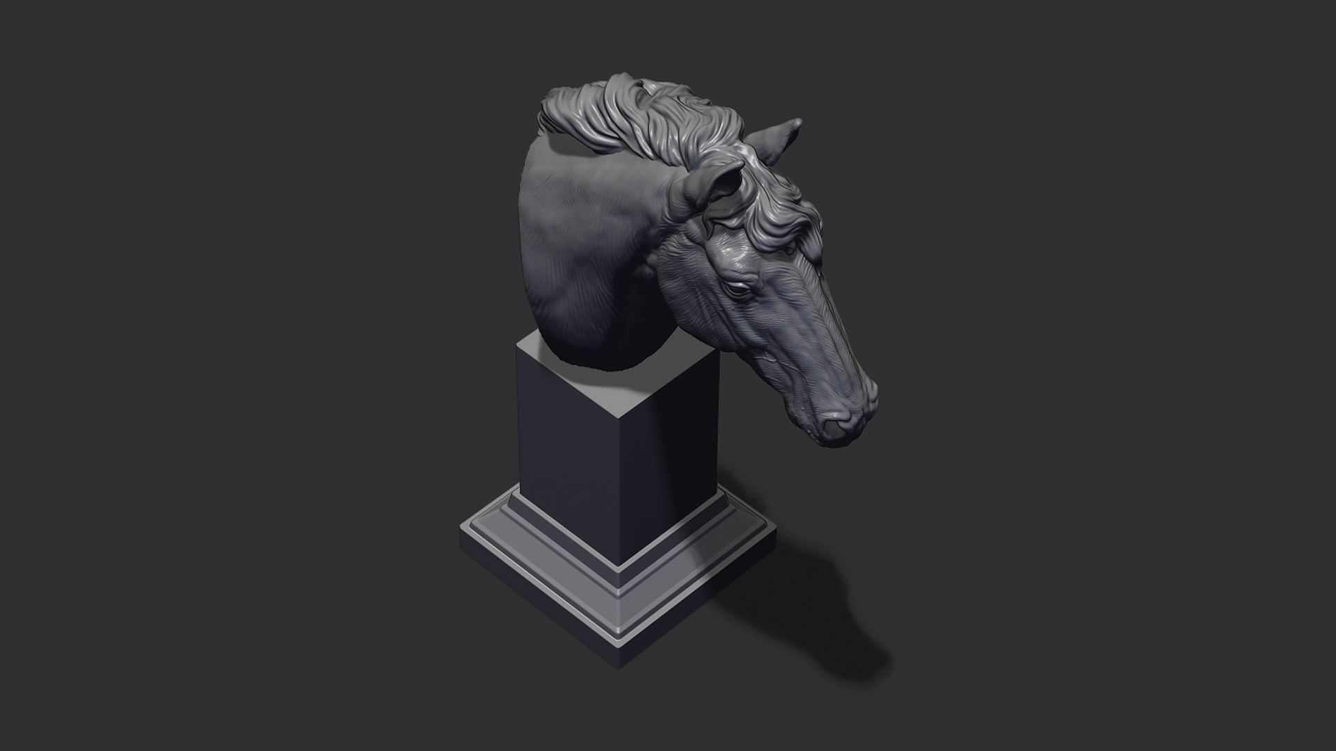 Horse with a mane 3D print model_14