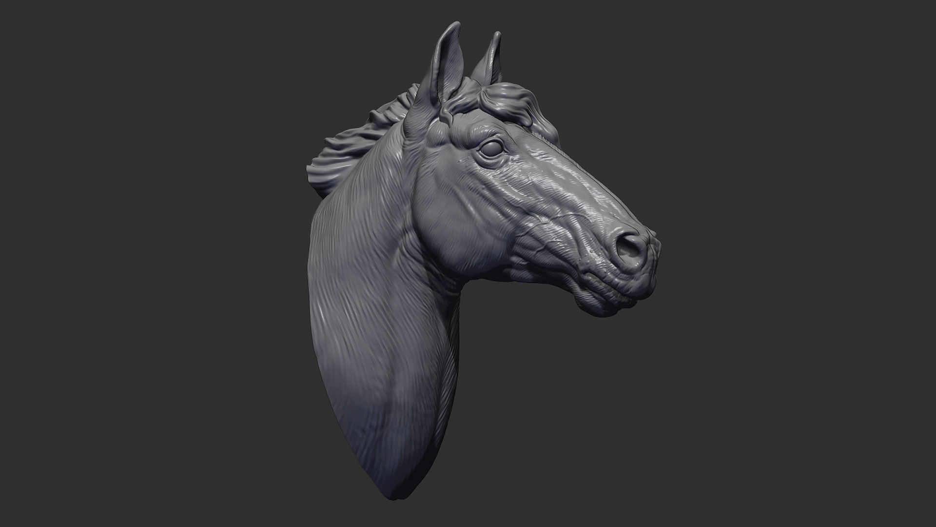 Horse with a mane 3D print model_2