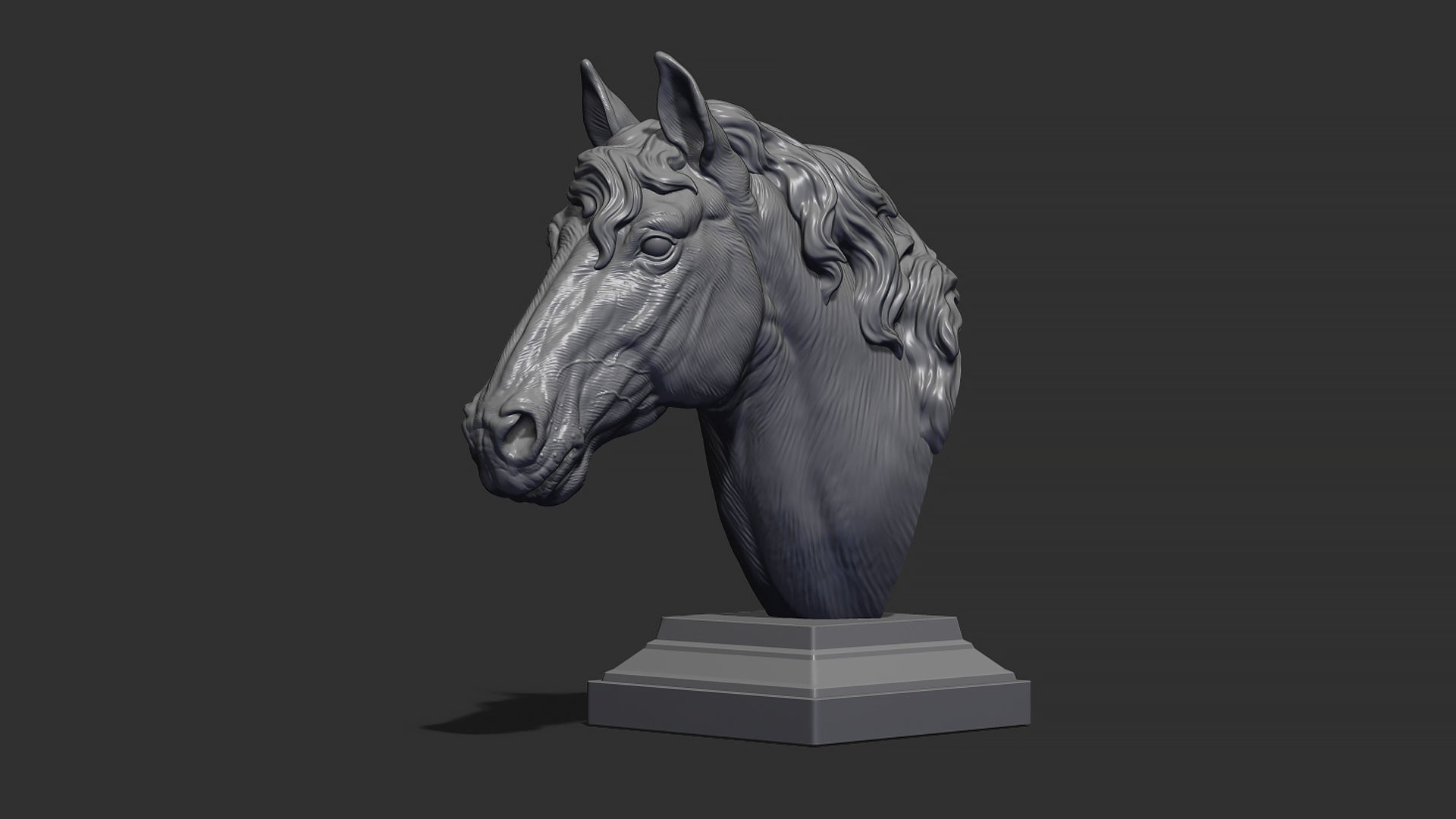 Horse with a mane 3D print model_18