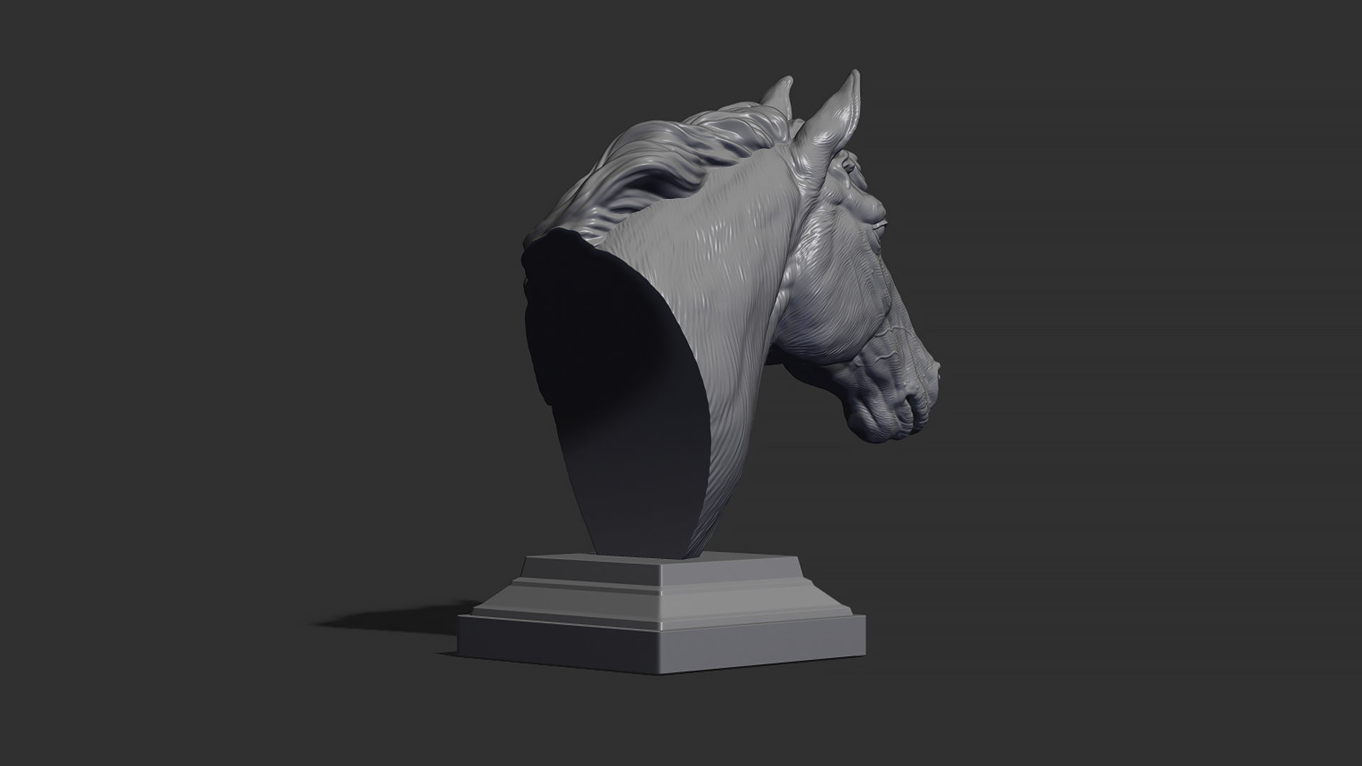 Horse with a mane 3D print model_20