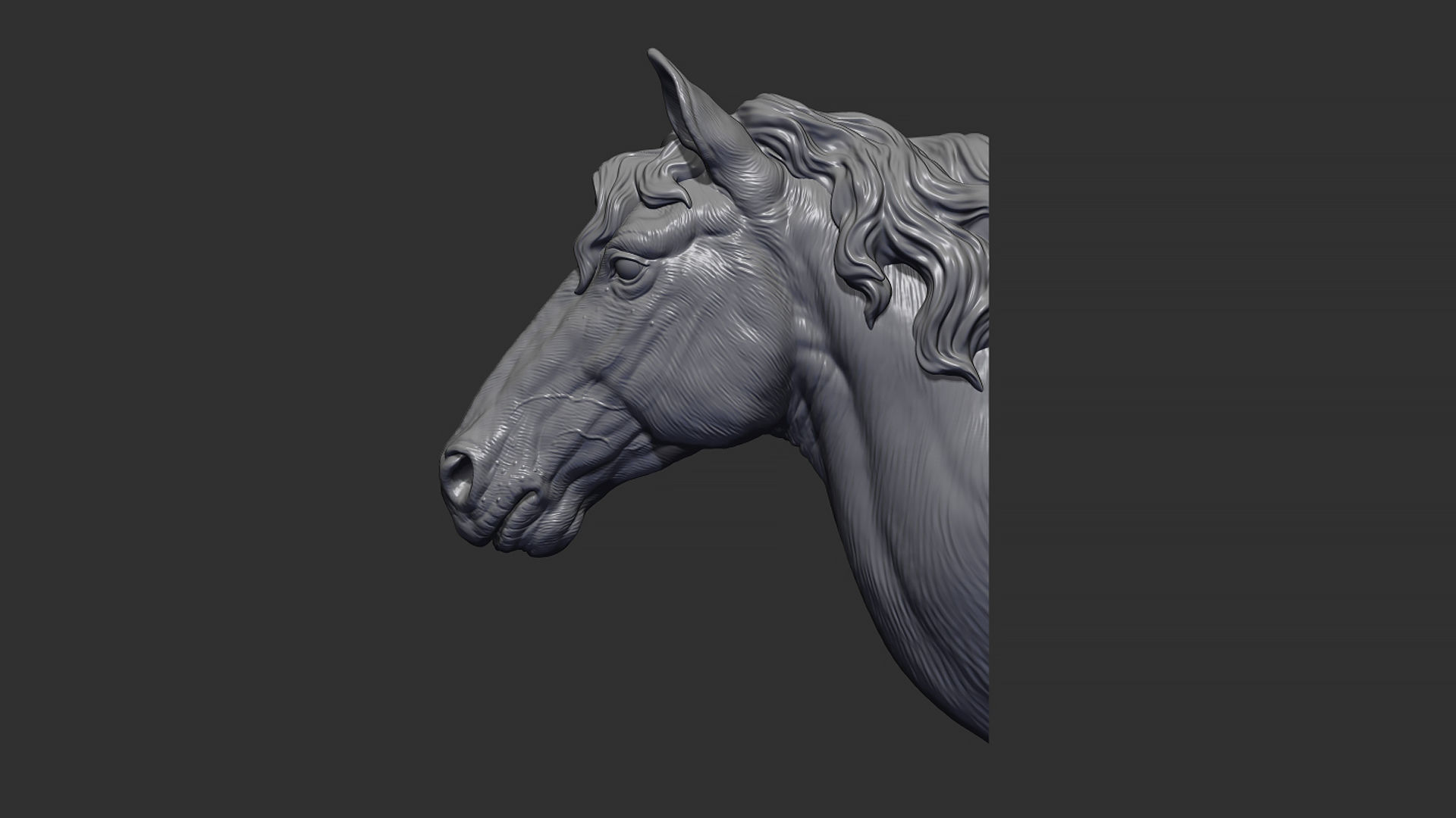 Horse with a mane 3D print model_4