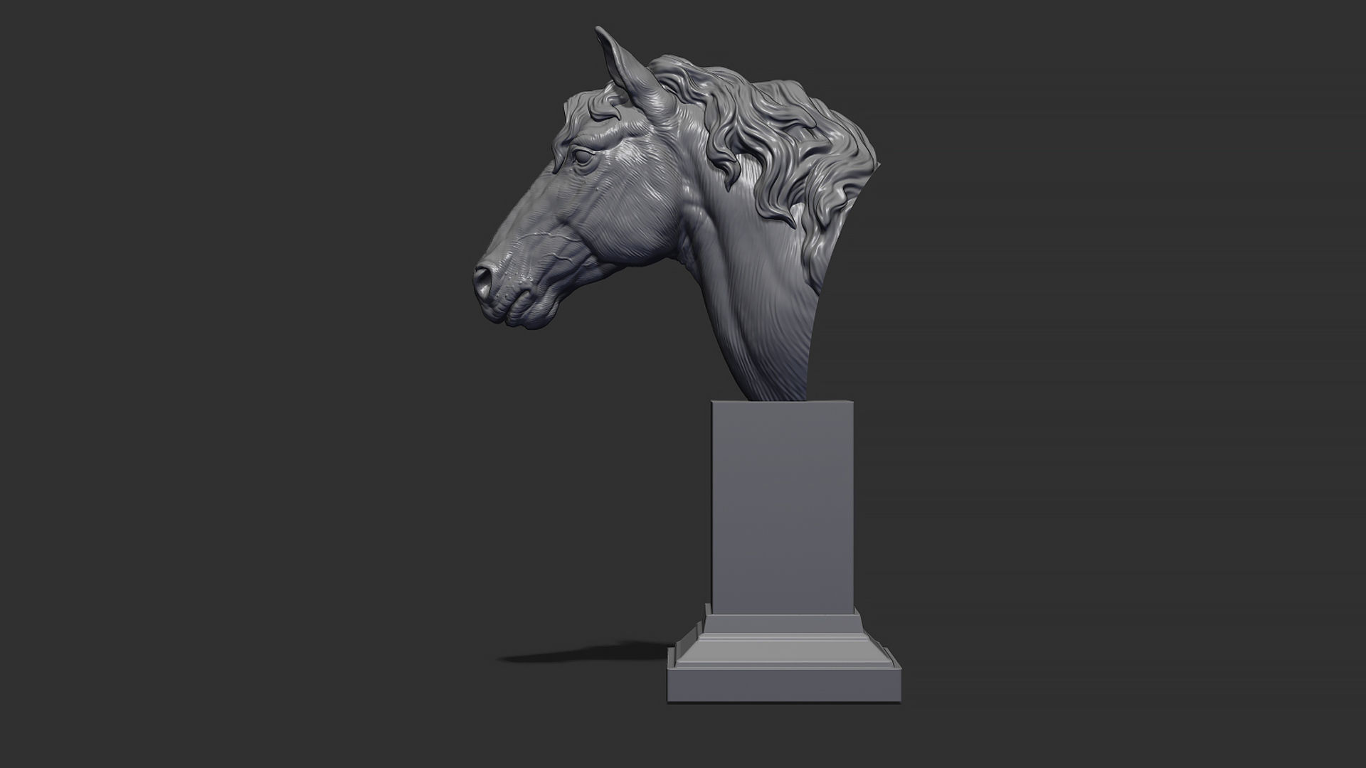 Horse with a mane 3D print model_12